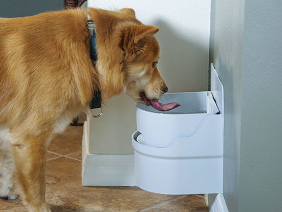 Perpetual well automatic dog waterer made in the USA