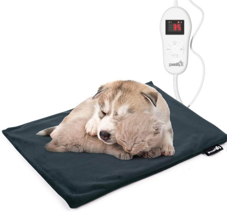 The Best Heated Dog Beds in 2020 IneptHomeowner